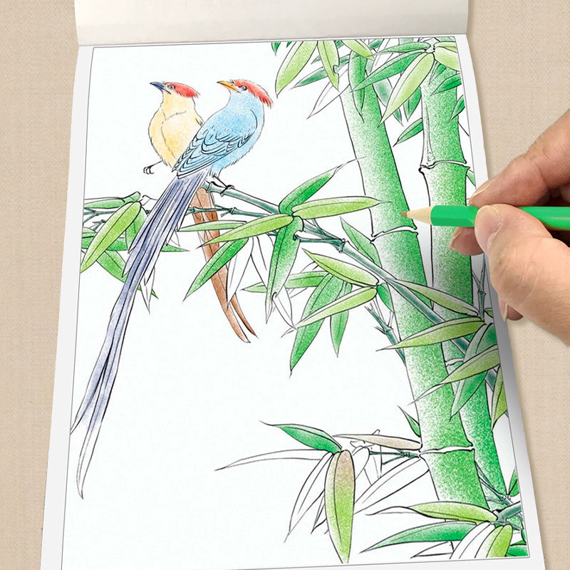 🎨Vente chaude 🖼️ Dessin de peinture chinoise, album de croquis, copie