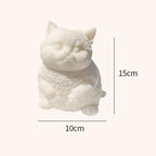 Jouet anti-stress en forme de chat, mignon et doux