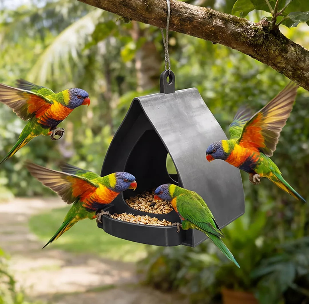 🐦 60% DE RÉDUCTION ! 🌿 Mangeoire à oiseaux suspendue avec toit – Résistante aux intempéries, facile à remplir et anti-écureuils 🌳