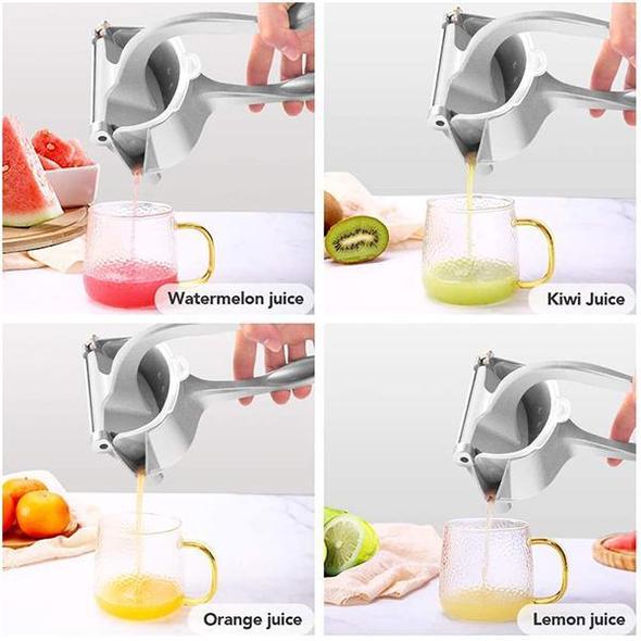 Extracteur de jus en acier inoxydable