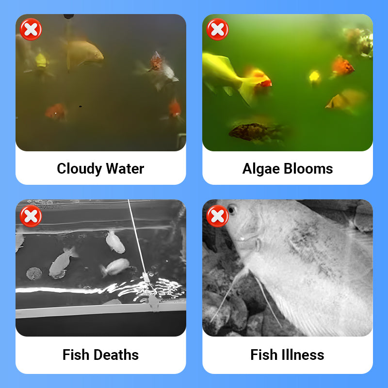 100 ml de Clarificateur d'Eau Puissant pour Aquarium
