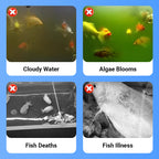 100 ml de Clarificateur d'Eau Puissant pour Aquarium