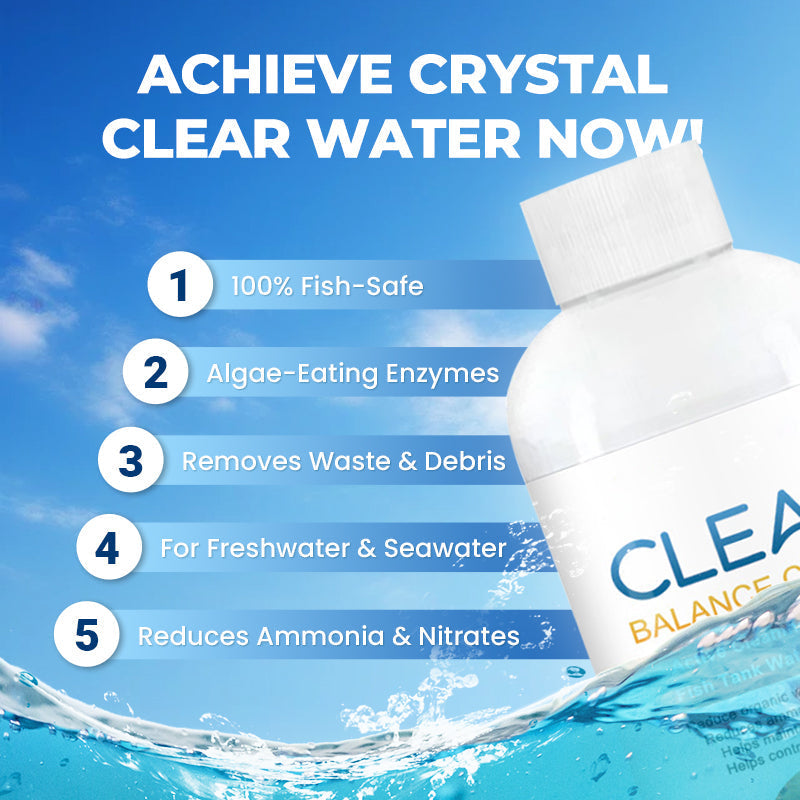 100 ml de Clarificateur d'Eau Puissant pour Aquarium