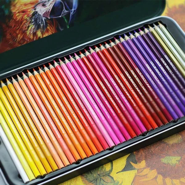 Lot de 48 pastels gras colorés