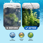 100 ml de Clarificateur d'Eau Puissant pour Aquarium