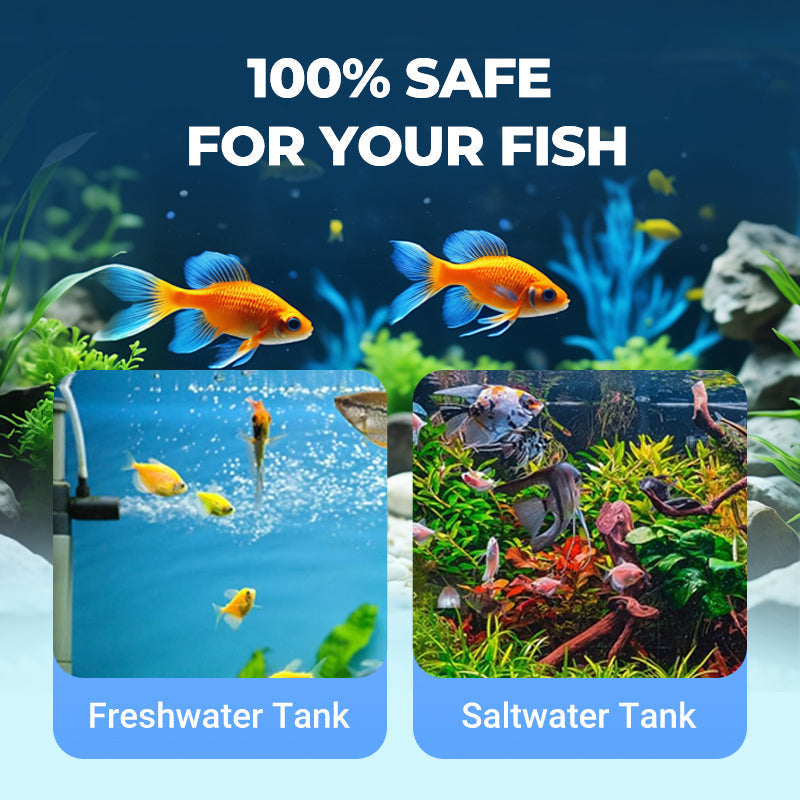 100 ml de Clarificateur d'Eau Puissant pour Aquarium