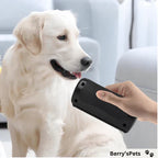 Brosse ergonomique pour le retrait des poils d'animaux avec lame dentelée