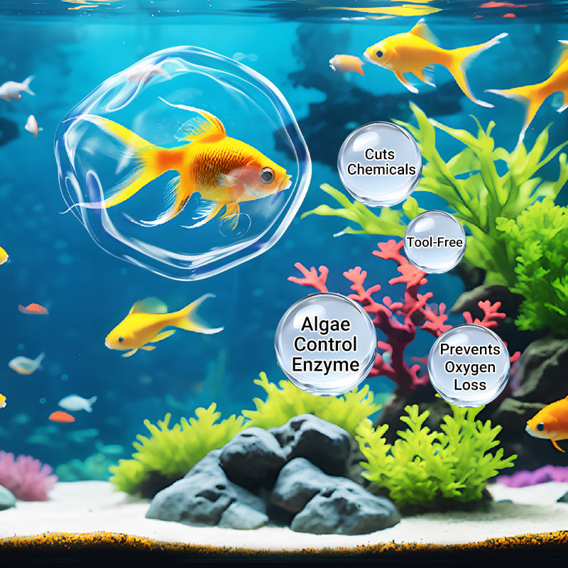 100 ml de Clarificateur d'Eau Puissant pour Aquarium