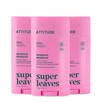 Lot de 3 déodorants