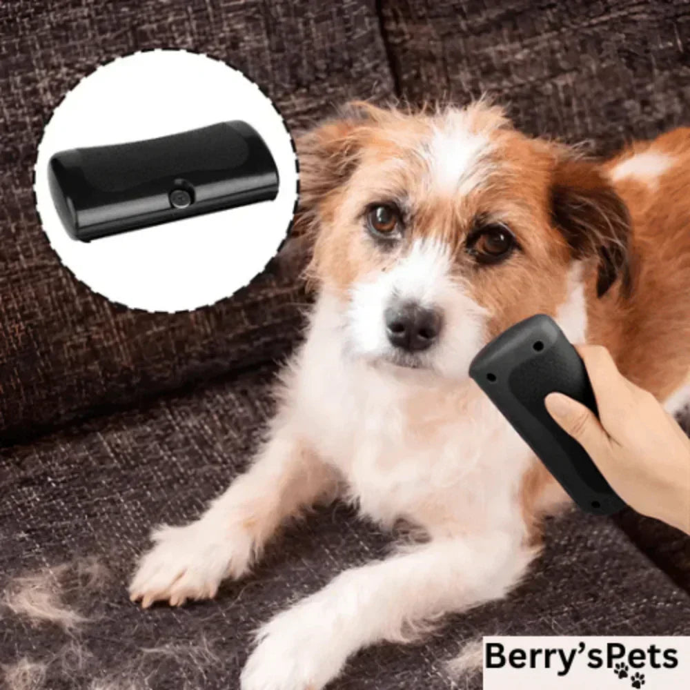 Brosse ergonomique pour le retrait des poils d'animaux avec lame dentelée