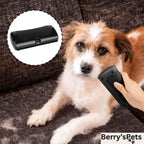 Brosse ergonomique pour le retrait des poils d'animaux avec lame dentelée