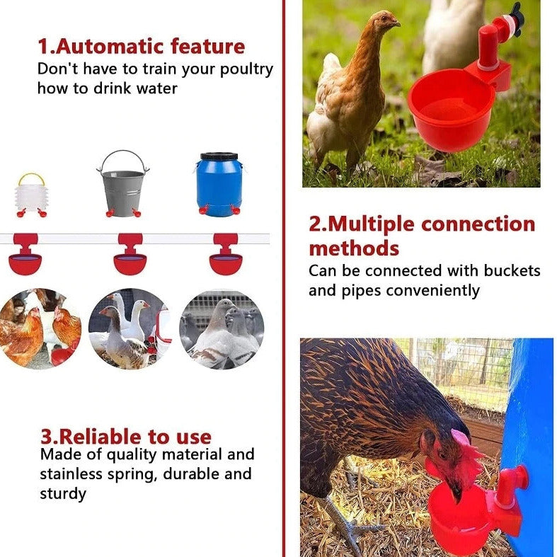 🔥🔥Cadeau pour les amateurs de poulets 44 % de réduction --🔥Tasse à eau automatique pour volaille