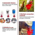 🔥🔥Cadeau pour les amateurs de poulets 44 % de réduction --🔥Tasse à eau automatique pour volaille