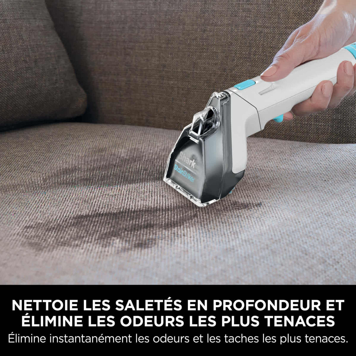 Shampouineuse détachante Shark StainStriker - Bleu