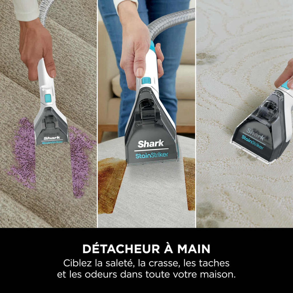 Shampouineuse détachante Shark StainStriker - Bleu