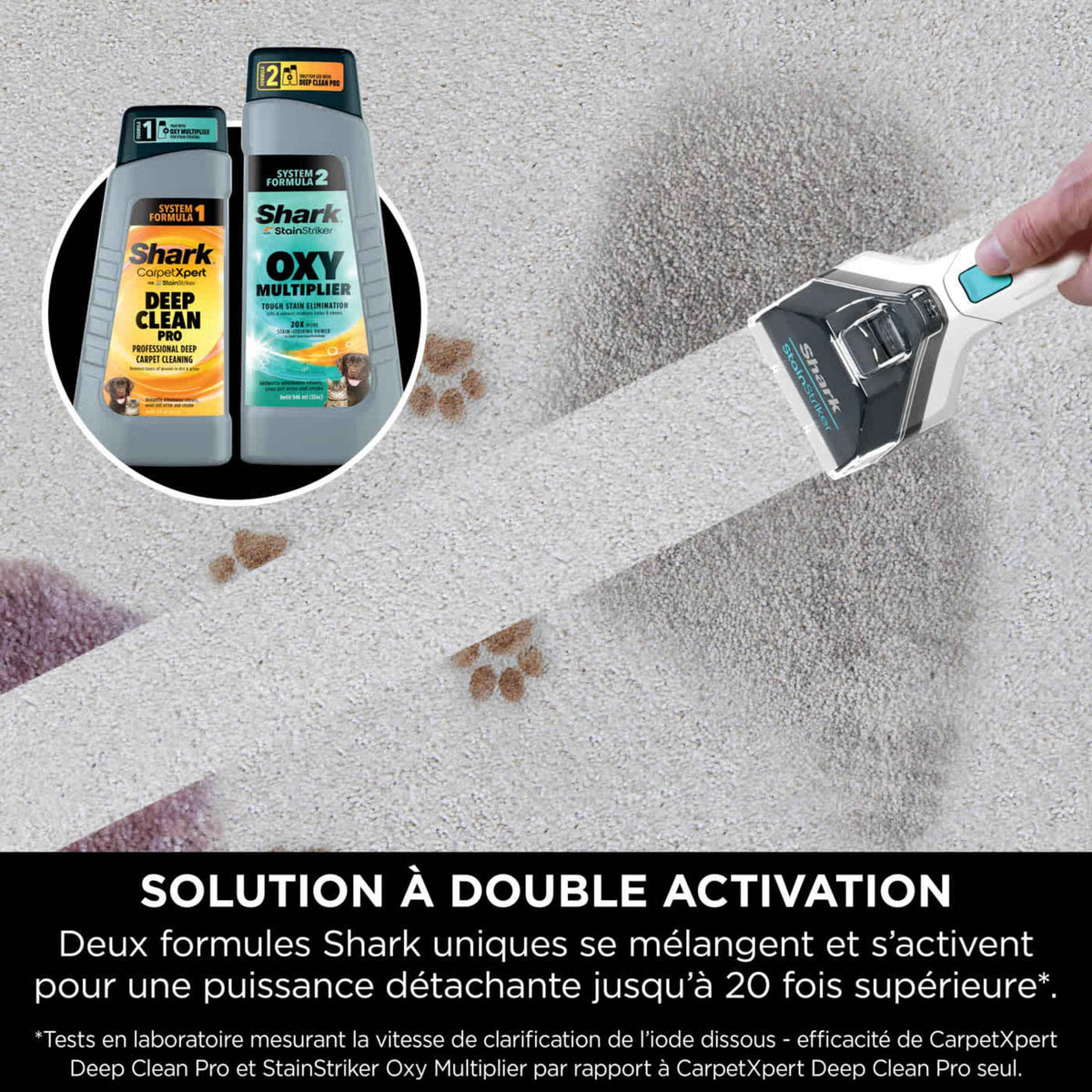 Shampouineuse détachante Shark StainStriker - Bleu