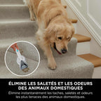 Shampouineuse détachante Shark StainStriker - Bleu