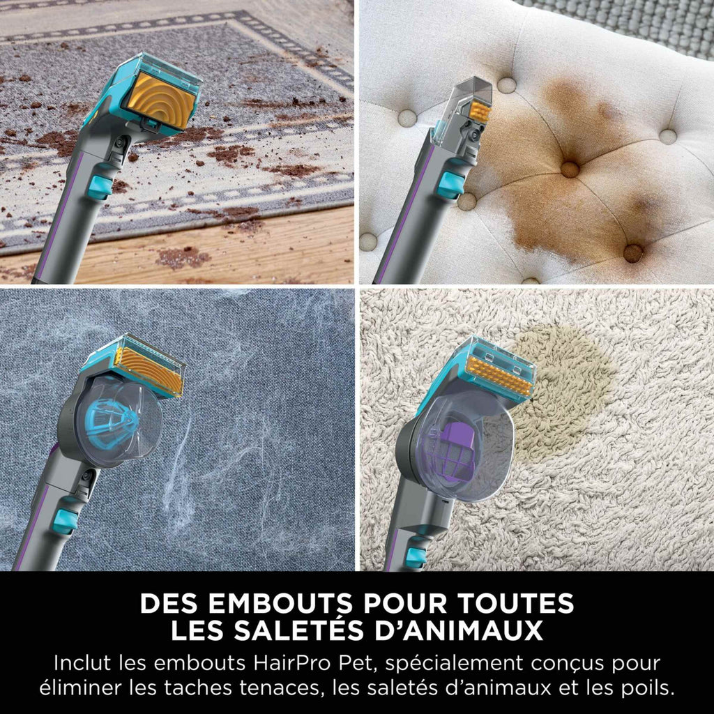 Shampouineuse Shark StainStriker Renov Expert avec pack nettoyant