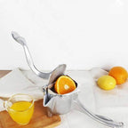 Extracteur de jus en acier inoxydable