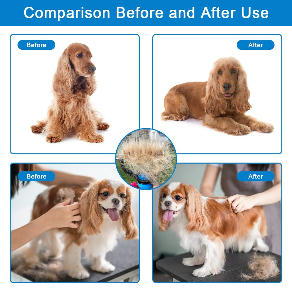 ⏰🔥RABAIS DE 50% POUR UNE DURÉE LIMITÉE !🔥PLUS DE 50 000 VENDUES !Brosse professionnelle anti-chute pour chiens et chats