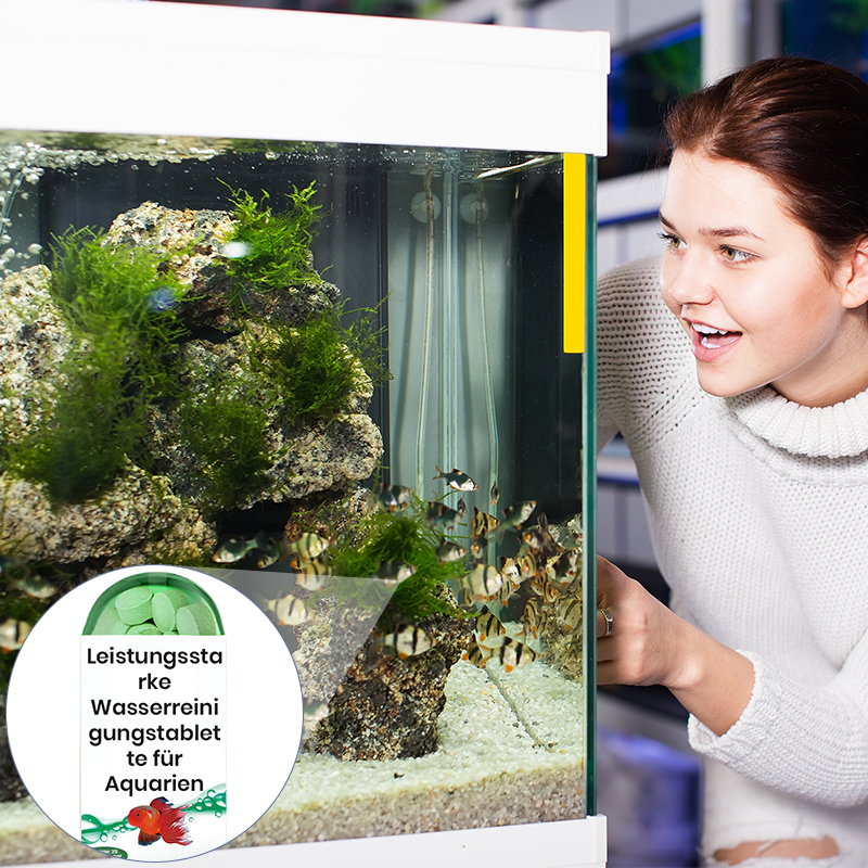 🔥Vente Flash🔥Puissant comprimé de purification d'eau pour aquarium (50 % DE RÉDUCTION)