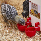 🔥🔥Cadeau pour les amateurs de poulets 44 % de réduction --🔥Tasse à eau automatique pour volaille