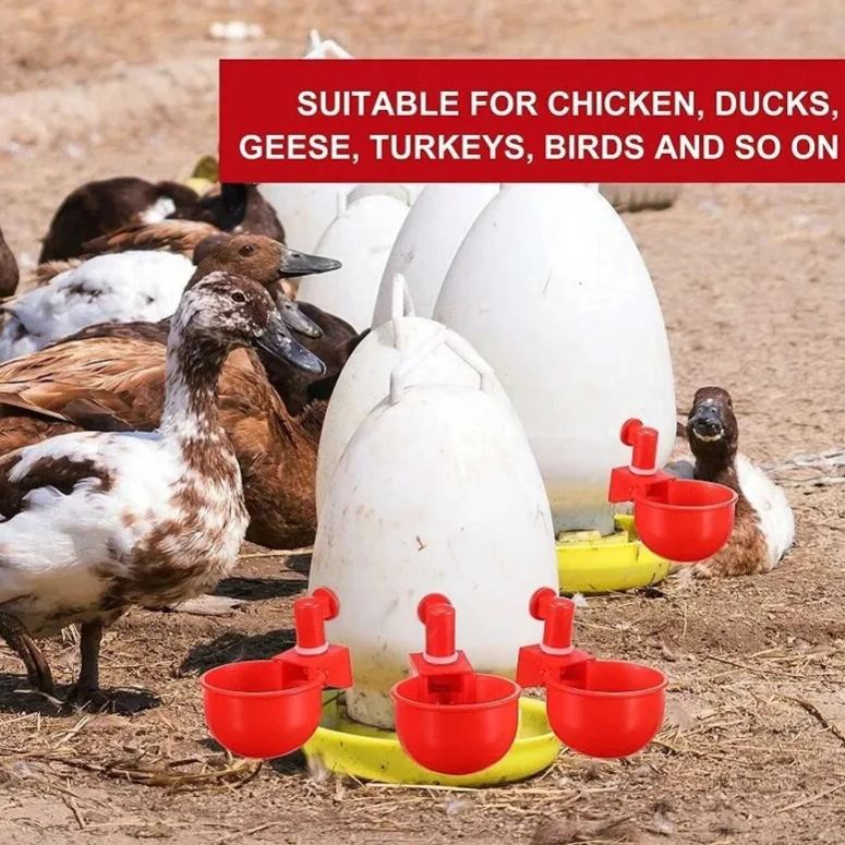 🔥🔥Cadeau pour les amateurs de poulets 44 % de réduction --🔥Tasse à eau automatique pour volaille