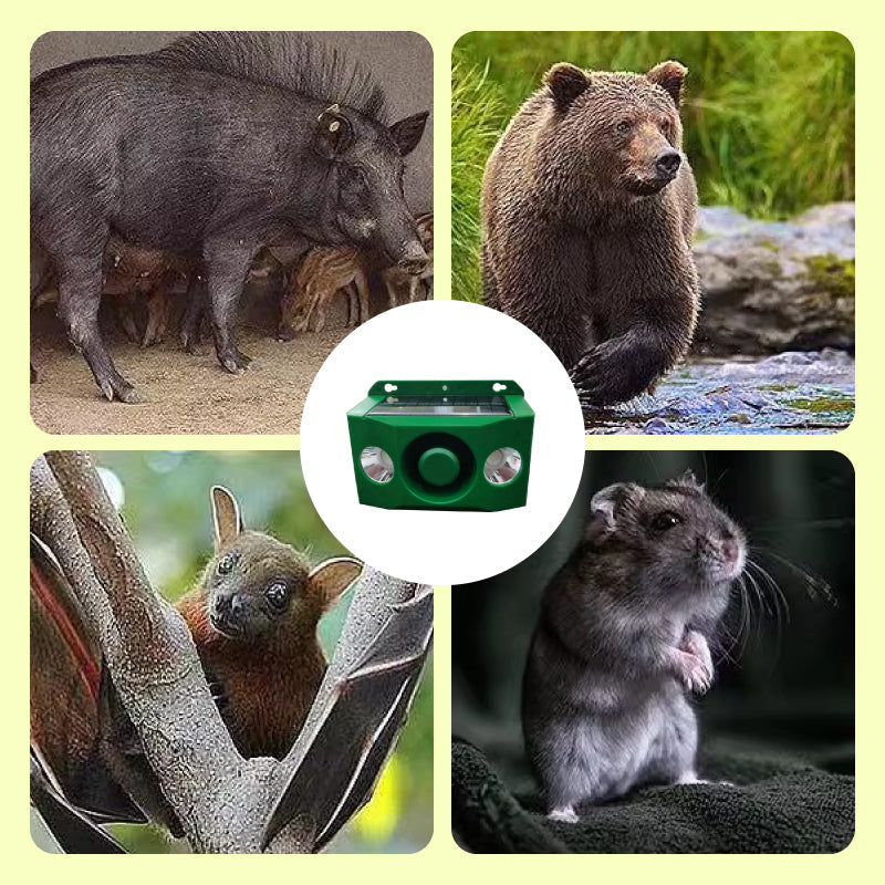 Solar Animal Repellent Warning Lights That Make a Loud Noise