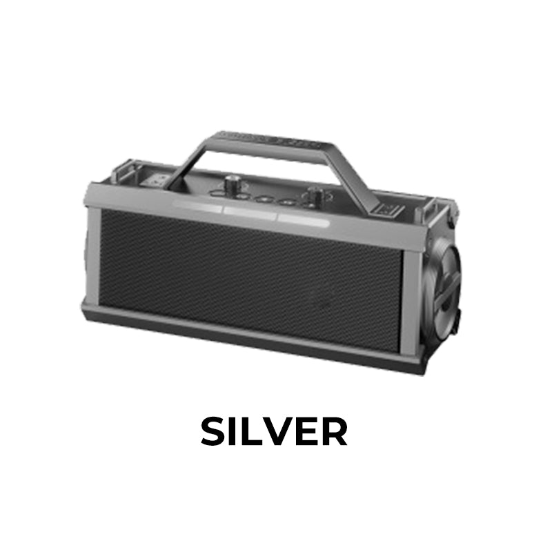 Haut-parleur Bluetooth karaoké 200W avec microphone sans fil