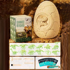 Dinosaur Egg Dig Kit pour enfants