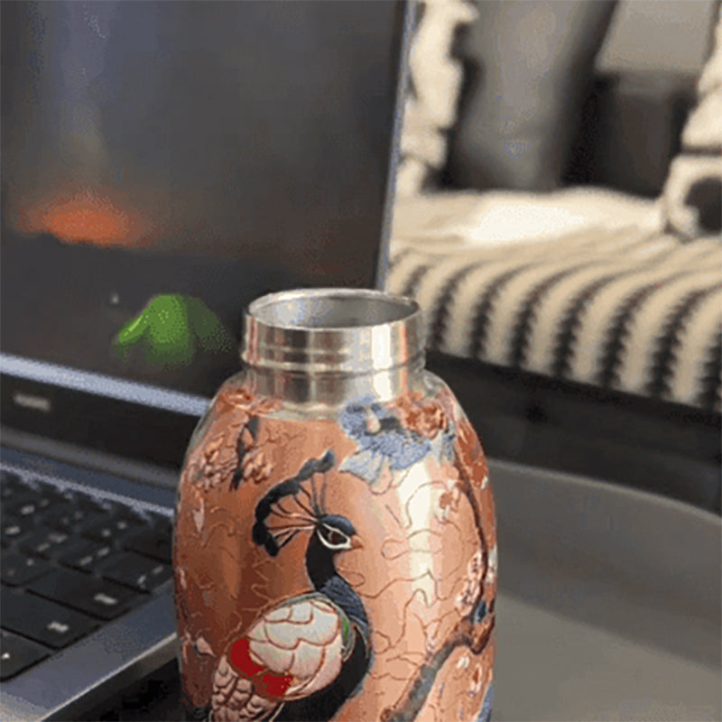 Bouteille d'eau isotherme élégante et portable