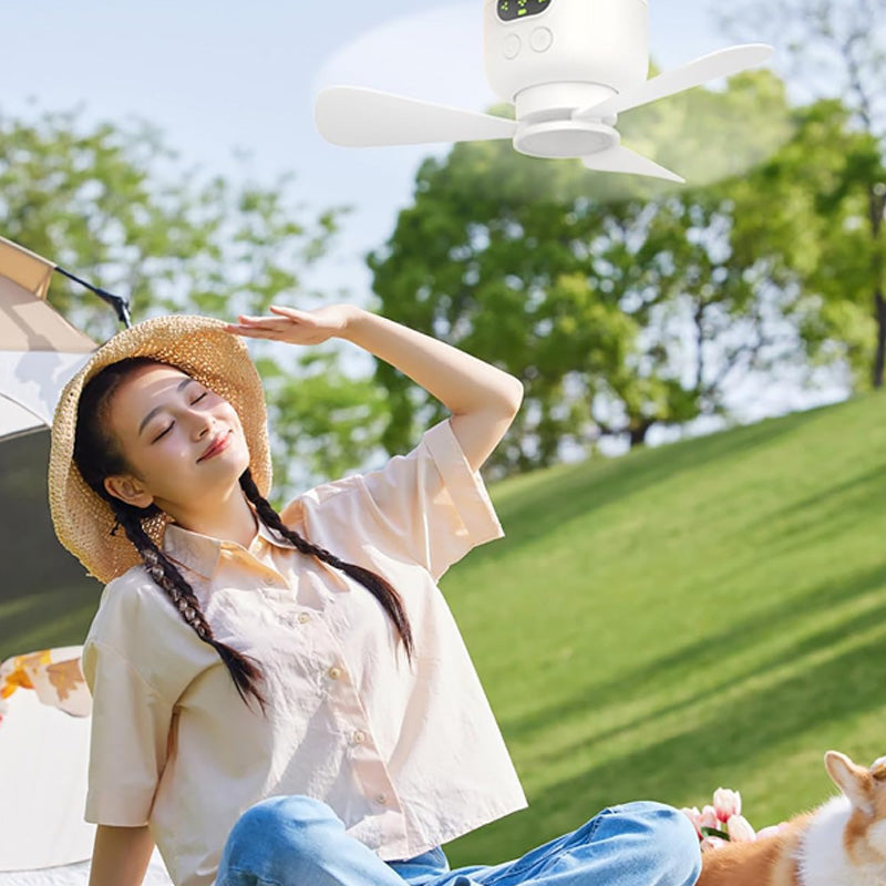⏰ Offre limitée : 50 % de réduction sur un ventilateur de plafond rechargeable avec lumières LED ! 🌬️✨