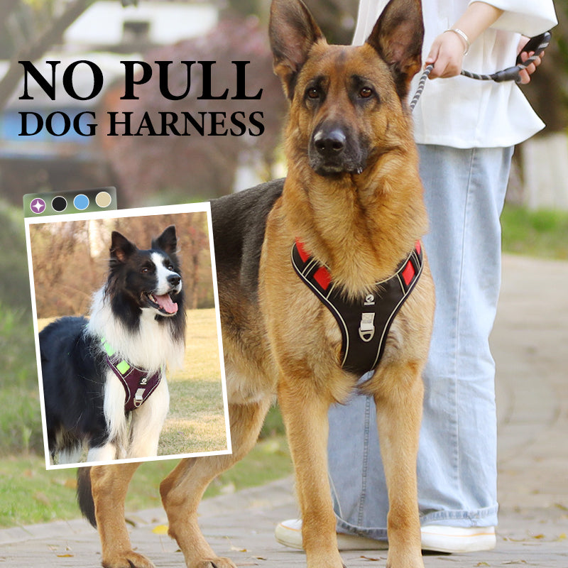 Harnais pour chien anti-traction avec laisse et collier LED