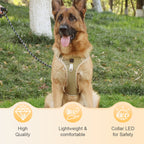 Harnais pour chien anti-traction avec laisse et collier LED