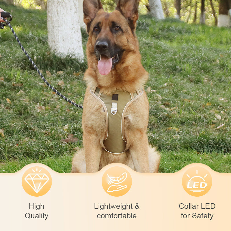 Harnais pour chien anti-traction avec laisse et collier LED