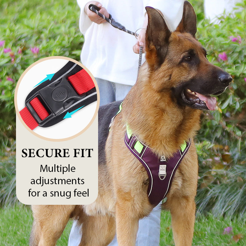 Harnais pour chien anti-traction avec laisse et collier LED