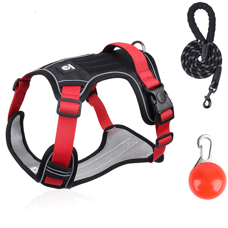 Harnais pour chien anti-traction avec laisse et collier LED