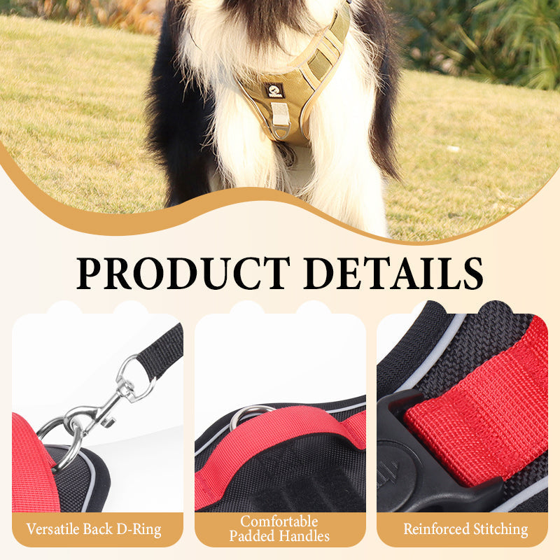 Harnais pour chien anti-traction avec laisse et collier LED