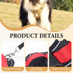 Harnais pour chien anti-traction avec laisse et collier LED