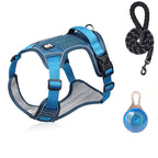 Harnais pour chien anti-traction avec laisse et collier LED