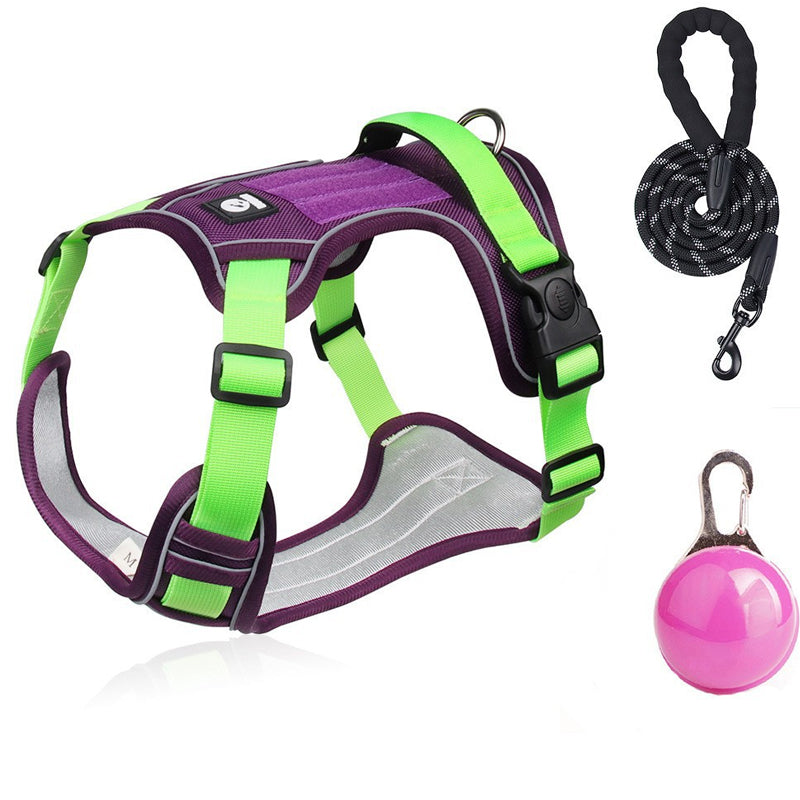 Harnais pour chien anti-traction avec laisse et collier LED