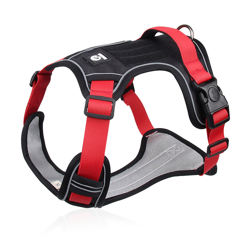 Harnais pour chien anti-traction avec laisse et collier LED