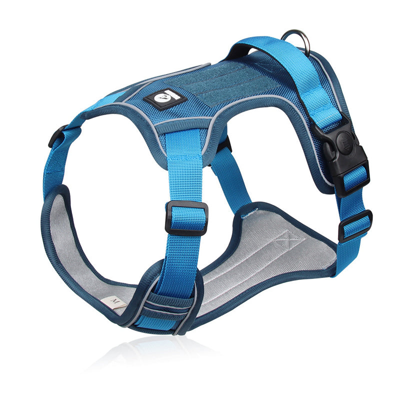 Harnais pour chien anti-traction avec laisse et collier LED