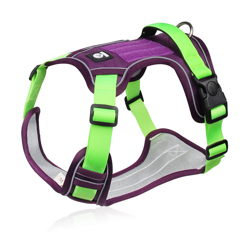 Harnais pour chien anti-traction avec laisse et collier LED