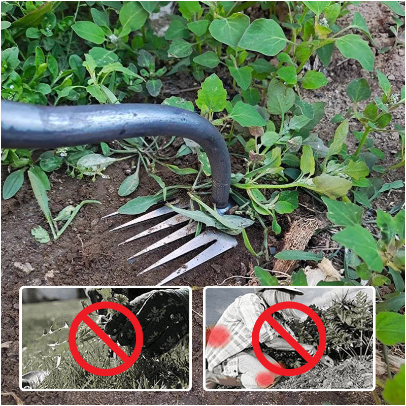 Outil manuel de désherbage pour pelouse et jardin
