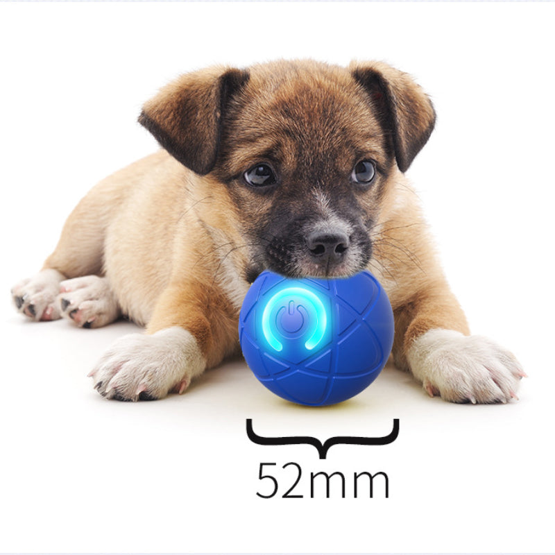 🐾⚽ Balle Intelligente Auto-Rebondissante pour Chiens et Chats – Matériau PC+TPE Sûr, Recharge USB Type-C, Ø52mm – Réduit l'Anxiété et l'Ennui, 2 Couleurs 🐶🐱