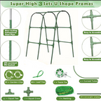 🌱 Arche modulaire pour plantes grimpantes – Supporte concombres, vignes et légumes | Structure en acier galvanisé | Résistant aux intempéries | 4 Tailles 🥒🍅