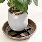 🌱 Rehausseur Salvaradici pour Pots de Fleurs 💚 - Favorise le Drainage | Garde les Sols Secs | Protège les Racines | Support Stable | Intérieur et Extérieur | 12/14/20 cm 🌿