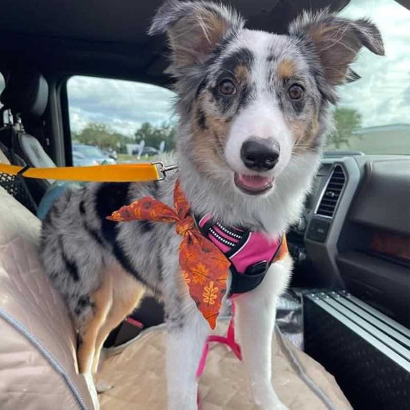 🐶Ceinture de Sécurité 2 en 1 pour Chien avec Accroche Têtière ✨🚗 - Laisse + Ceinture | Clip 360° | Nylon Résistant | Longueur Ajustable | 9 Couleurs | 50% DE RÉDUCTION