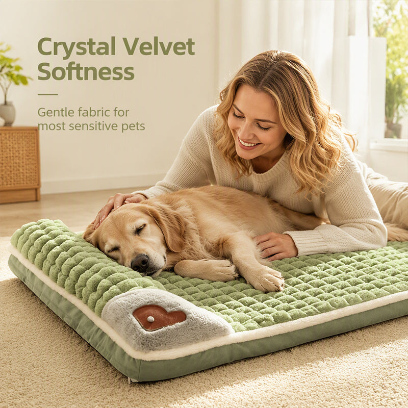 🛌✨ Niche/Tapis pour Chiens & Chats en Peluche Premium🐶🐱 – Soutien Orthopédique, Velours Ultra-Doux, Bord Relevé Ergonomique – Tailles M–4XL, 3 Couleurs 🐾☁️